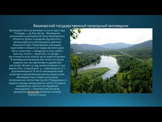 Башкирский государственный природный заповедник Заповедник был организован 11 июля 1930