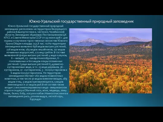 Южно-Уральский государственный природный заповедник Южно-Уральский государственный природный заповедник расположен на