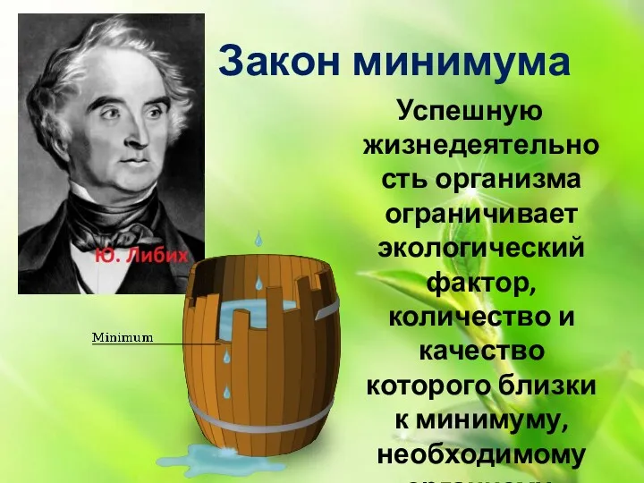 Закон минимума Успешную жизнедеятельность организма ограничивает экологический фактор, количество и