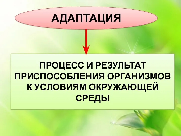 АДАПТАЦИЯ ПРОЦЕСС И РЕЗУЛЬТАТ ПРИСПОСОБЛЕНИЯ ОРГАНИЗМОВ К УСЛОВИЯМ ОКРУЖАЮЩЕЙ СРЕДЫ