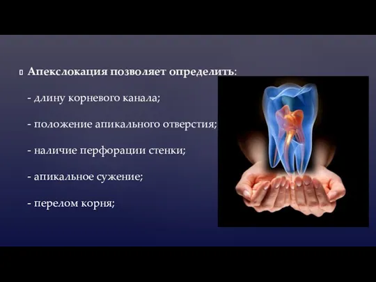 Апекслокация позволяет определить: - длину корневого канала; - положение апикального