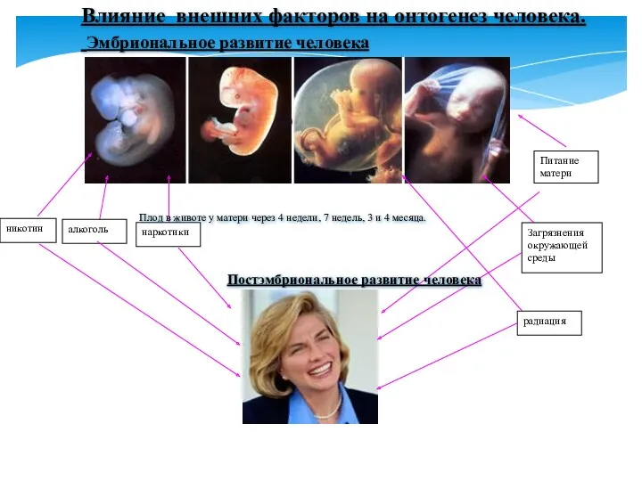 никотин алкоголь наркотики радиация Загрязнения окружающей среды Питание матери Влияние