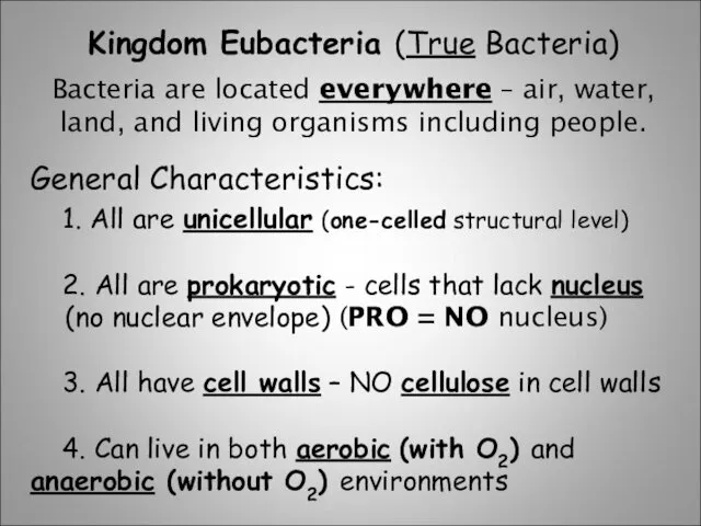 Kingdom Eubacteria (True Bacteria) Bacteria are located everywhere – air,
