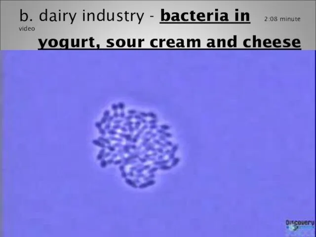 b. dairy industry - bacteria in 2:08 minute video yogurt, sour cream and cheese