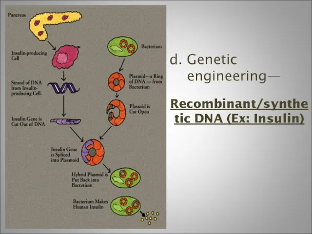 d. Genetic engineering— Recombinant/synthetic DNA (Ex: Insulin)