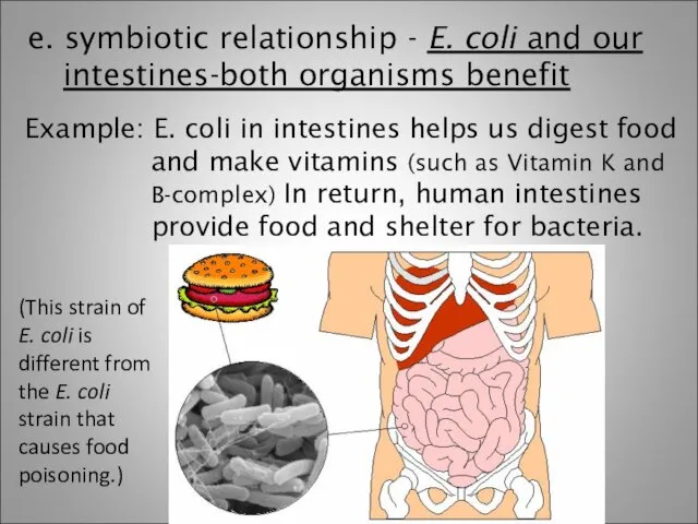 e. symbiotic relationship - E. coli and our intestines-both organisms