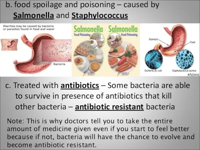 b. food spoilage and poisoning – caused by Salmonella and