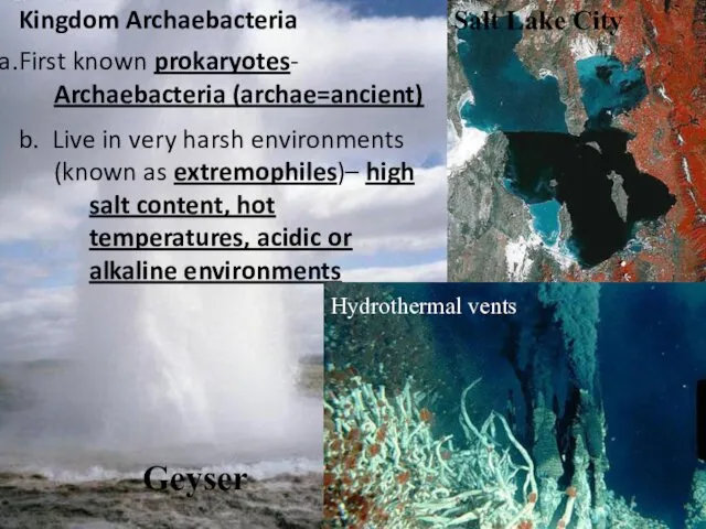 Kingdom Archaebacteria First known prokaryotes- Archaebacteria (archae=ancient) b. Live in