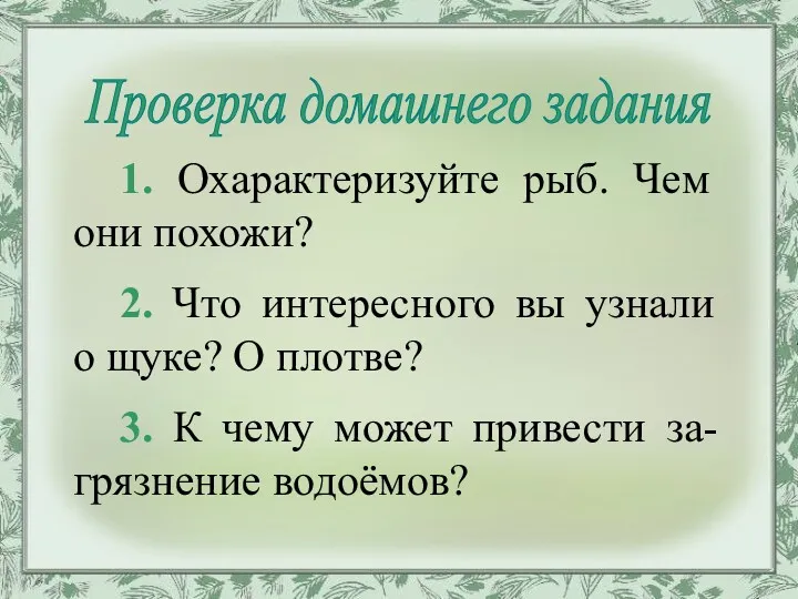 1. Охарактеризуйте рыб. Чем они похожи? 2. Что интересного вы