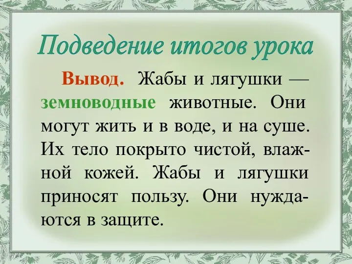 Вывод. Жабы и лягушки — земноводные животные. Они могут жить