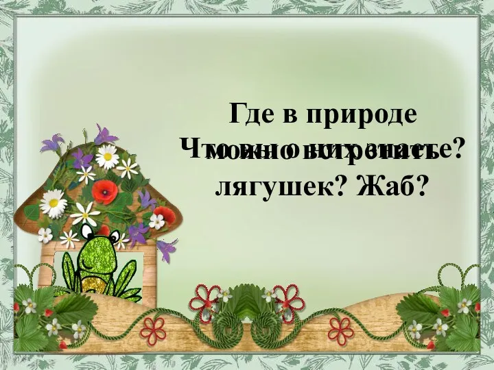 Где в природе можно встретить лягушек? Жаб? Что вы о них знаете?