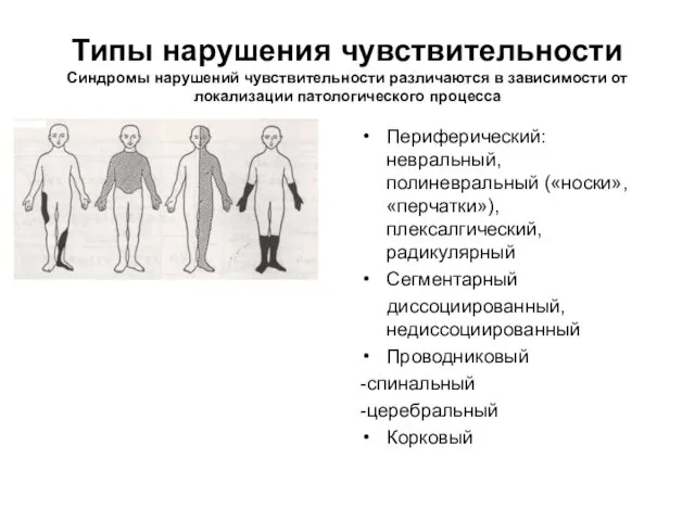 Типы нарушения чувствительности Синдромы нарушений чувствительности различаются в зависимости от локализации патологического процесса