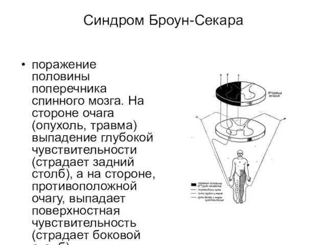 Синдром Броун-Секара поражение половины поперечника спинного мозга. На стороне очага