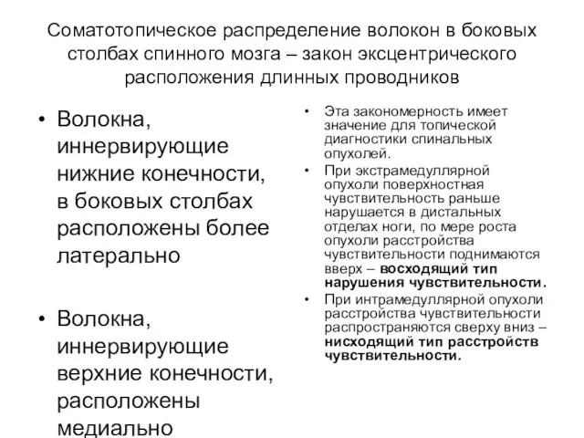 Соматотопическое распределение волокон в боковых столбах спинного мозга – закон