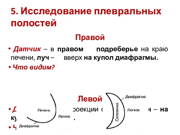 5. Исследование плевральных полостей Правой Датчик – в правом подреберье