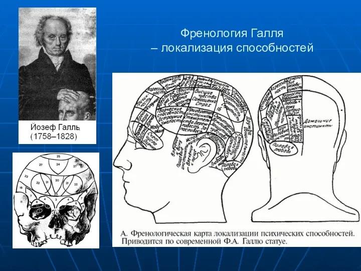 Френология Галля – локализация способностей