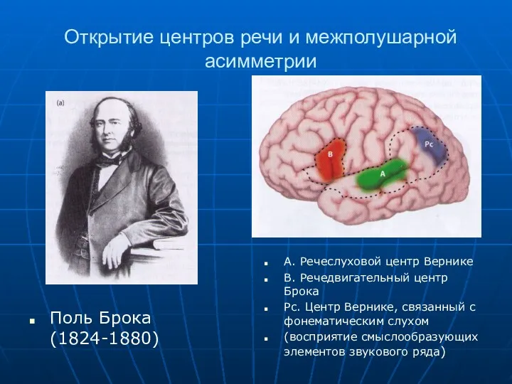 Открытие центров речи и межполушарной асимметрии Поль Брока (1824-1880) А.