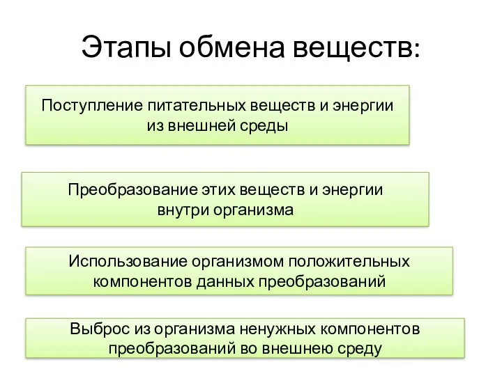 Этапы обмена веществ: Поступление питательных веществ и энергии из внешней