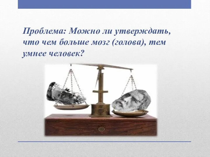 Проблема: Можно ли утверждать, что чем больше мозг (голова), тем умнее человек?