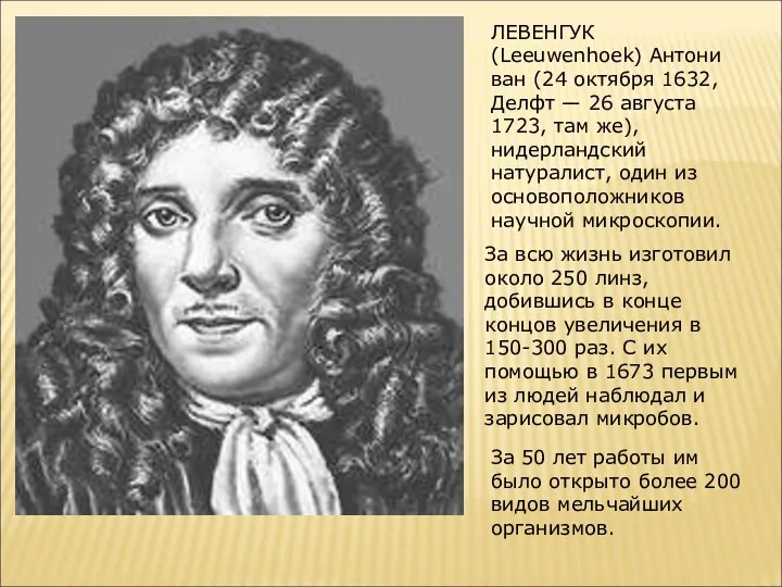 ЛЕВЕНГУК (Leeuwenhoek) Антони ван (24 октября 1632, Делфт — 26