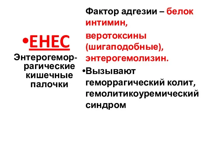 EHEC Энтерогемор-рагические кишечные палочки Фактор адгезии – белок интимин, веротоксины