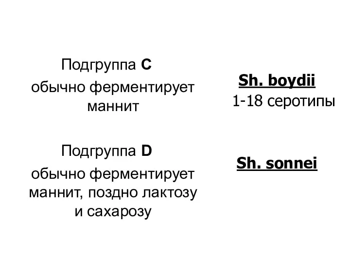 Подгруппа С обычно ферментирует маннит Подгруппа D обычно ферментирует маннит,