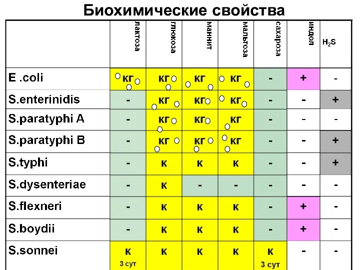 Биохимические свойства