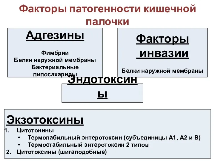 Факторы патогенности кишечной палочки Адгезины Фимбрии Белки наружной мембраны Бактериальные