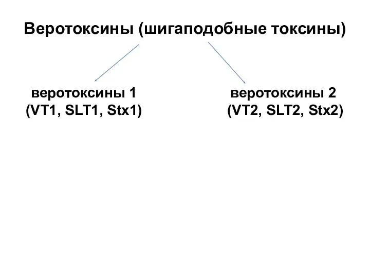 Веротоксины (шигаподобные токсины) веротоксины 1 (VT1, SLT1, Stx1) веротоксины 2 (VT2, SLT2, Stx2)