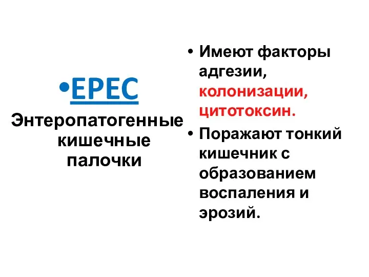 EPEC Энтеропатогенные кишечные палочки Имеют факторы адгезии, колонизации, цитотоксин. Поражают