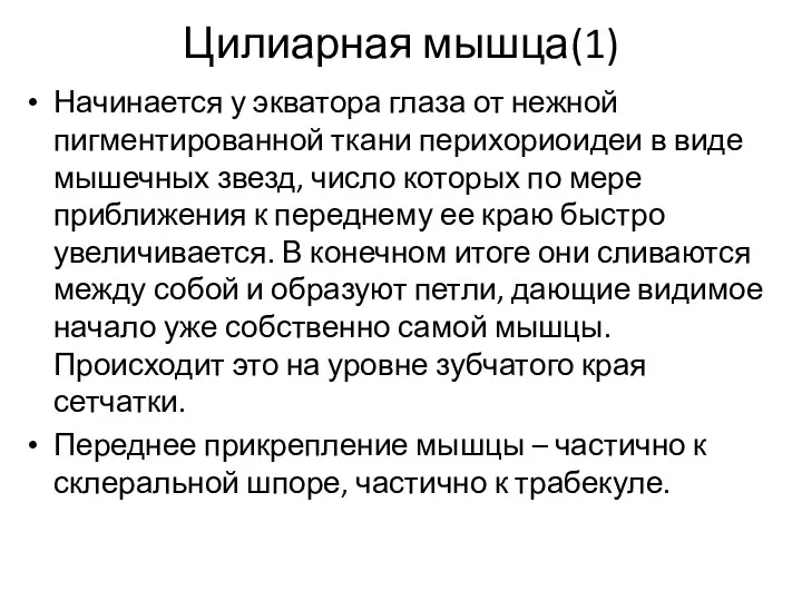 Цилиарная мышца(1) Начинается у экватора глаза от нежной пигментированной ткани