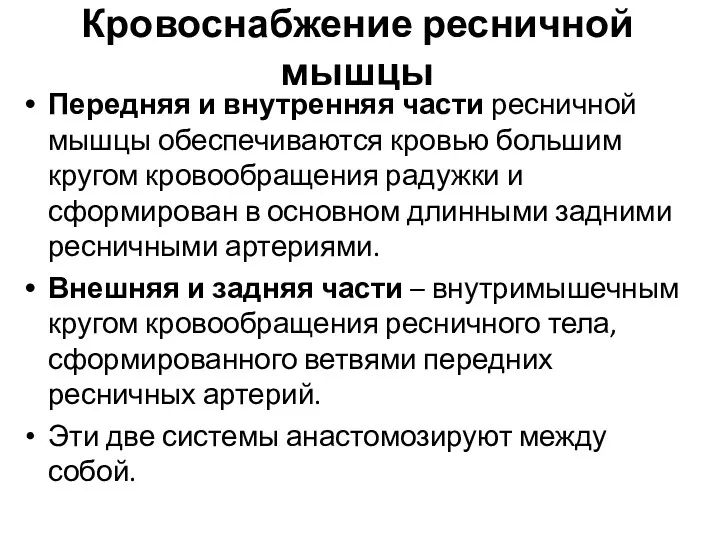 Кровоснабжение ресничной мышцы Передняя и внутренняя части ресничной мышцы обеспечиваются