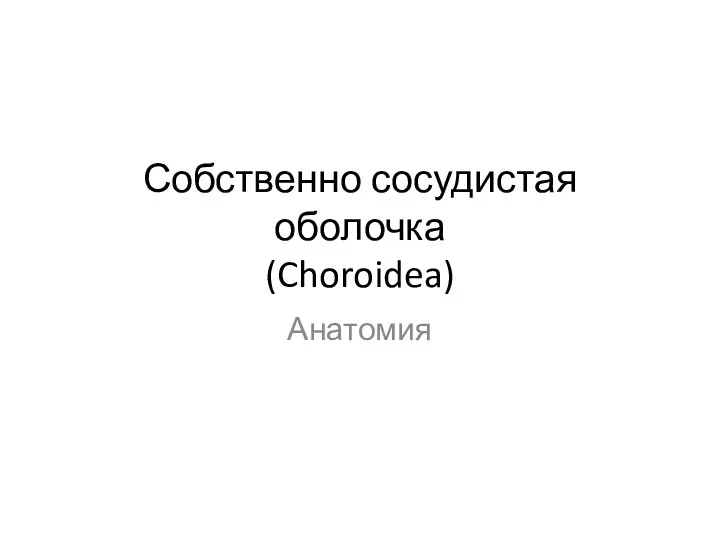 Собственно сосудистая оболочка (Choroidea) Анатомия