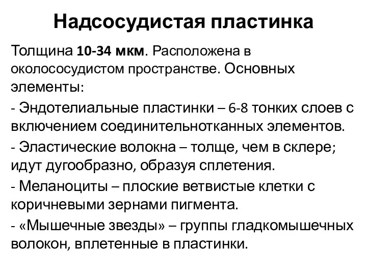 Надсосудистая пластинка Толщина 10-34 мкм. Расположена в околососудистом пространстве. Основных