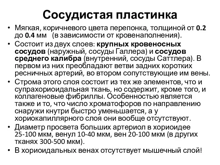 Сосудистая пластинка Мягкая, коричневого цвета перепонка, толщиной от 0.2 до