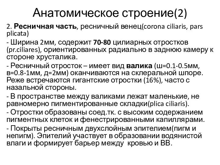 Анатомическое строение(2) 2. Ресничная часть, ресничный венец(corona ciliaris, pars plicata)