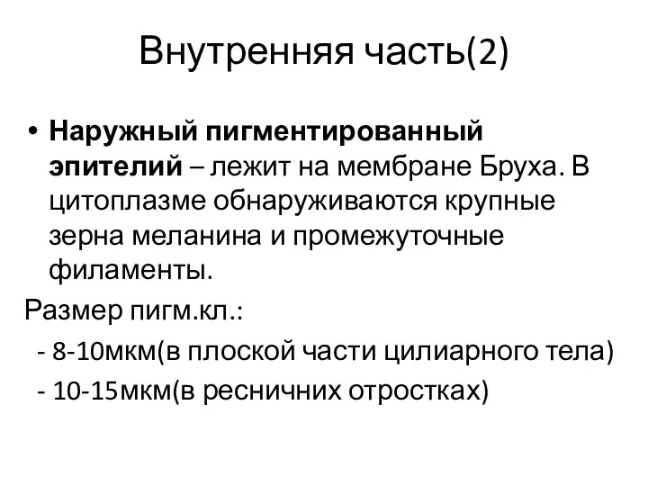 Внутренняя часть(2) Наружный пигментированный эпителий – лежит на мембране Бруха.