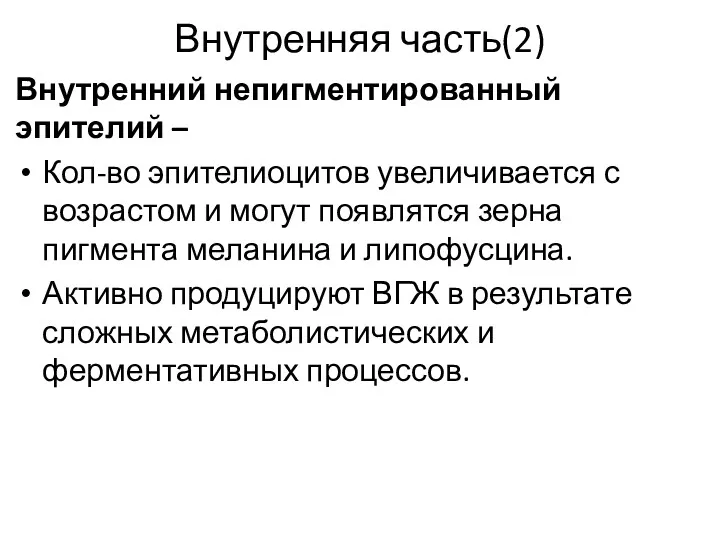 Внутренняя часть(2) Внутренний непигментированный эпителий – Кол-во эпителиоцитов увеличивается с