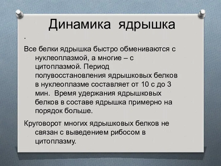 Динамика ядрышка . Все белки ядрышка быстро обмениваются с нуклеоплазмой,