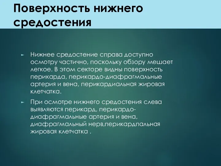 Поверхность нижнего средостения Нижнее средостение справа доступно осмотру частично, поскольку