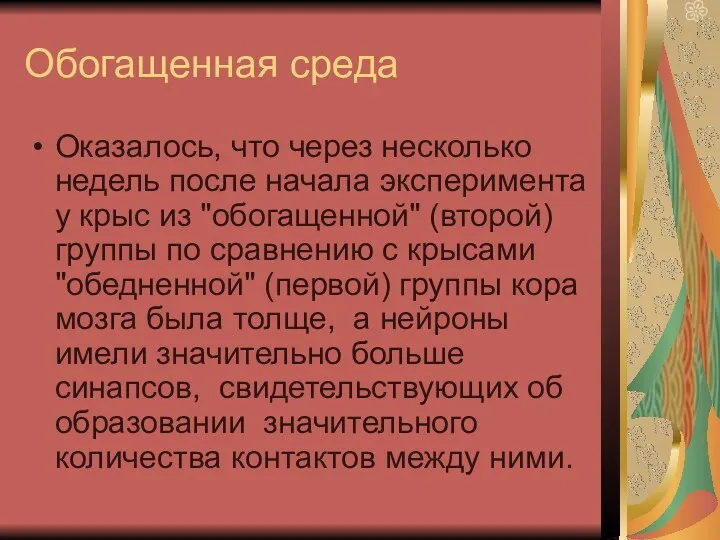 Обогащенная среда Оказалось, что через несколько недель после начала эксперимента