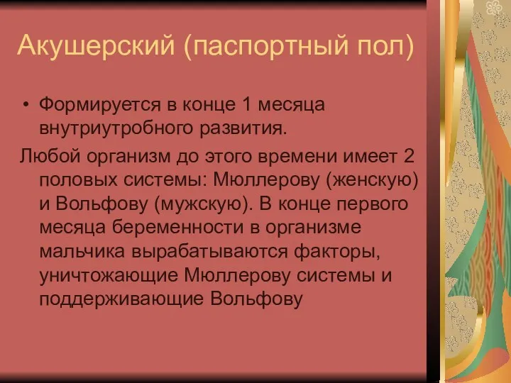 Акушерский (паспортный пол) Формируется в конце 1 месяца внутриутробного развития.