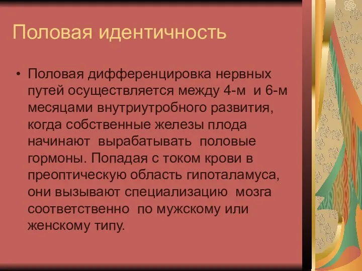 Половая идентичность Половая дифференцировка нервных путей осуществляется между 4-м и