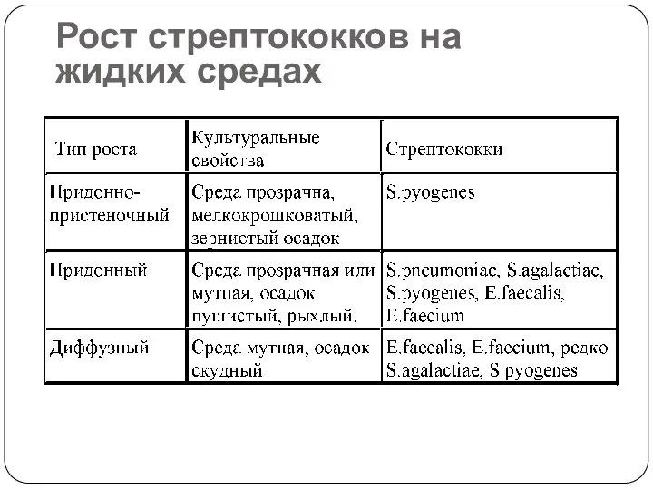 Рост стрептококков на жидких средах