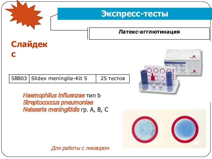 Экспресс-тесты Латекс-агглютинация Слайдекс Haemophilus influenzae тип b Streptococcus pneumoniae Neisseria