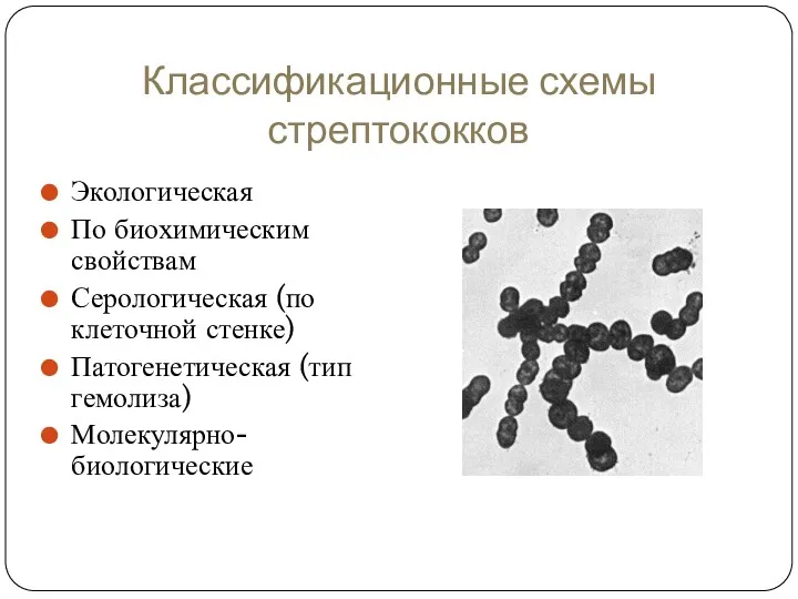 Классификационные схемы стрептококков Экологическая По биохимическим свойствам Серологическая (по клеточной стенке) Патогенетическая (тип гемолиза) Молекулярно-биологические