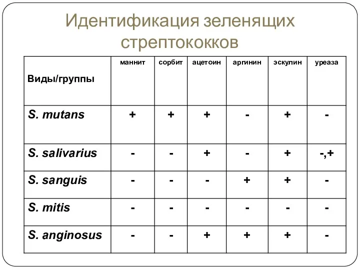 Идентификация зеленящих стрептококков