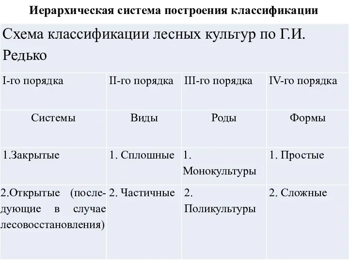 Иерархическая система построения классификации