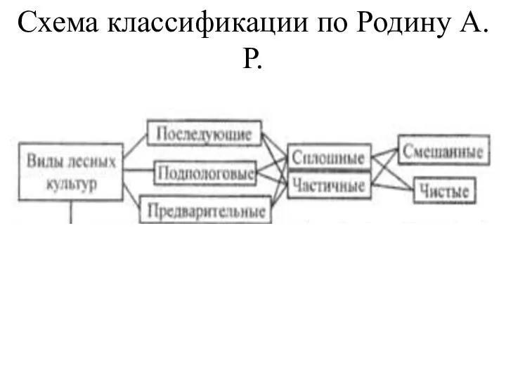 Схема классификации по Родину А.Р.