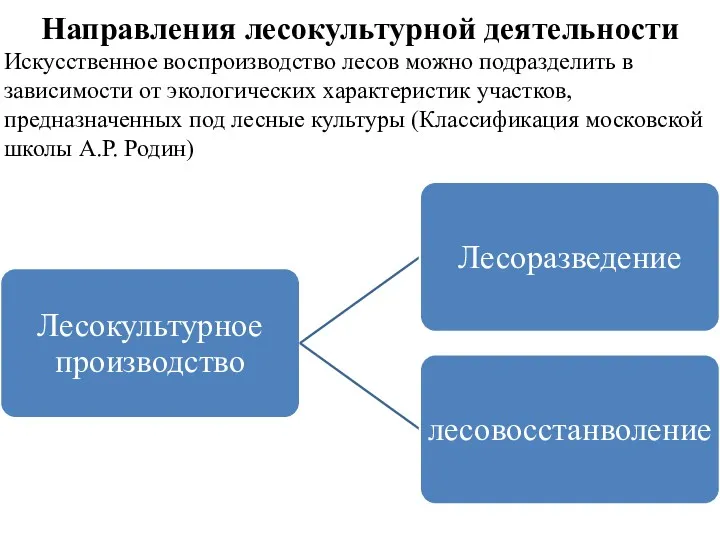 Направления лесокультурной деятельности Искусственное воспроизводство лесов можно подразделить в зависимости